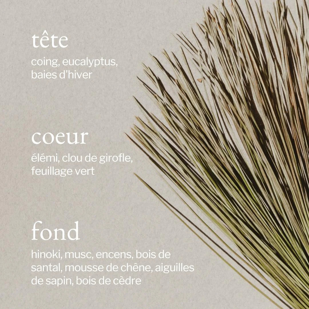 SOJA & CO Cedar Pine Bark Candle
