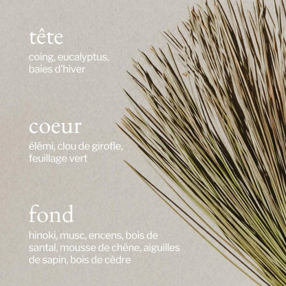 SOJA &amp; CO Cedar Pine Bark Candle