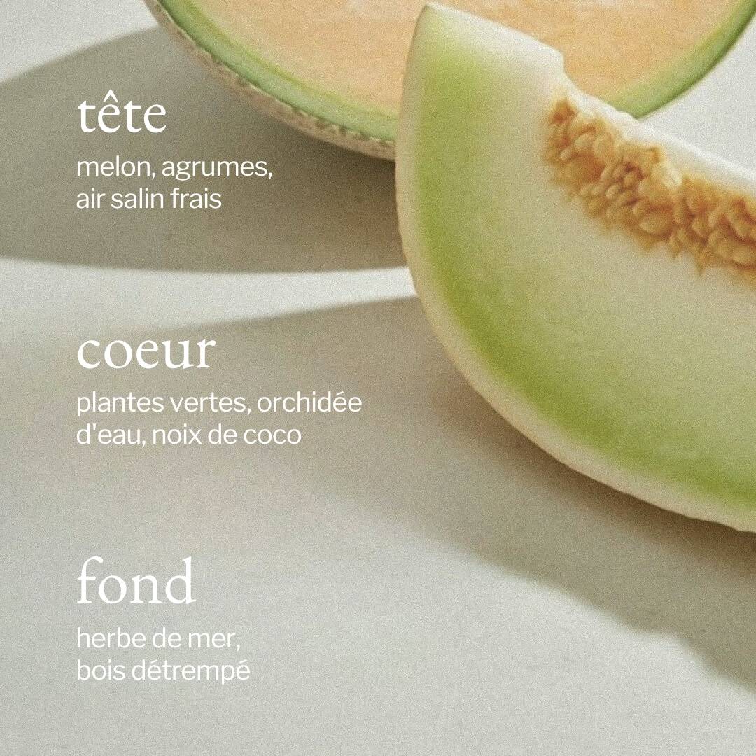 SOJA &amp; CO Melon Air Salt Candle