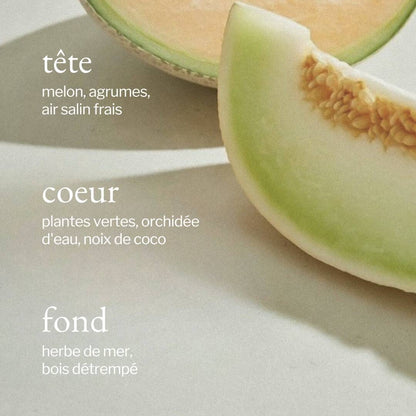 SOJA &amp; CO Melon Air Salt Candle