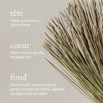 SOJA&CO Bougie | Écorce de Pin + Cèdre